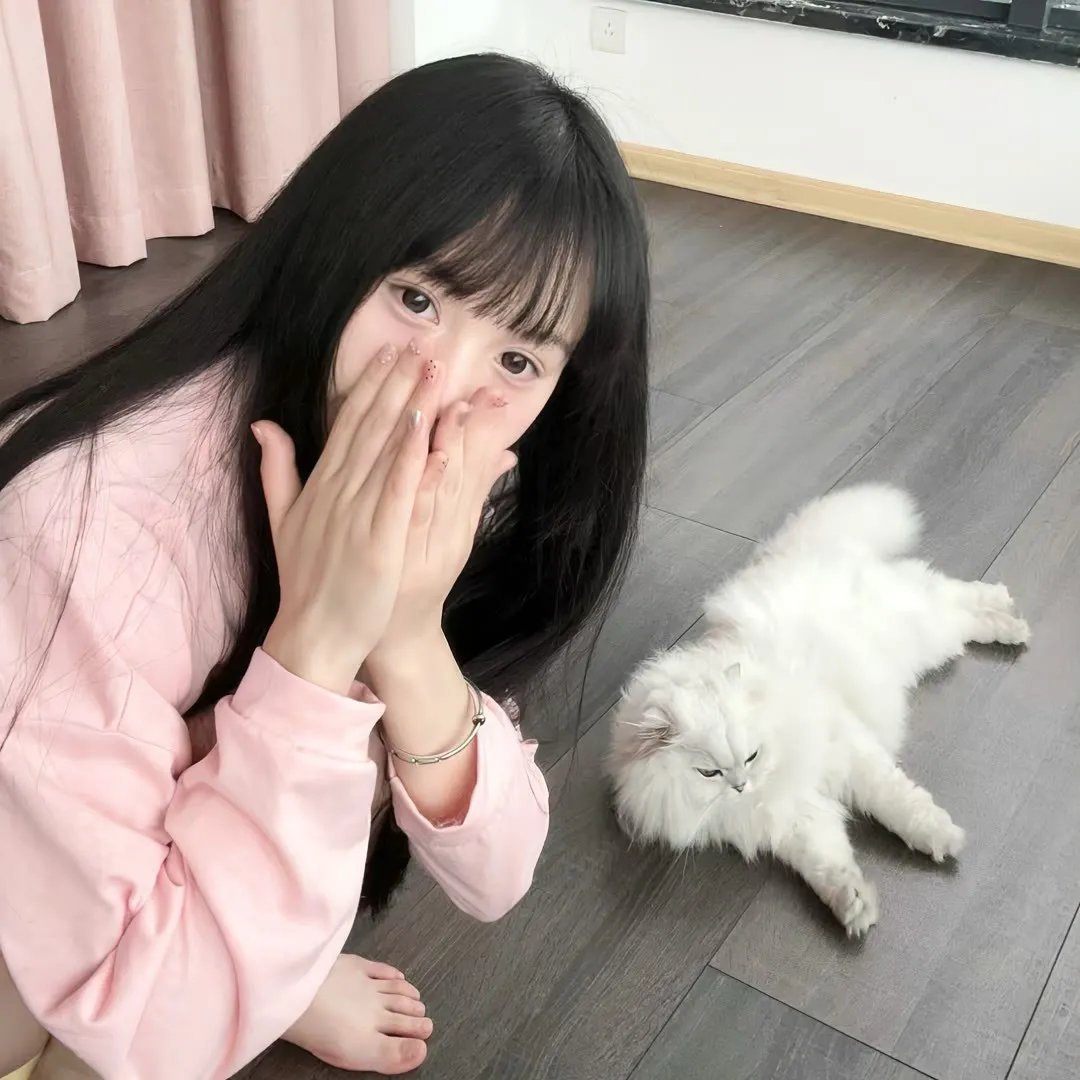 春光灿烂猪八戒2000 封面