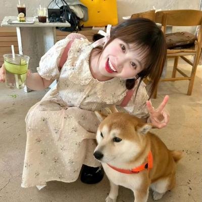 愿你在此 封面